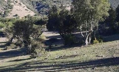 Parcela en Venta en Provincia de Colchagua, Comuna de Santa Cruz, Región Bernardo O'Higgins
