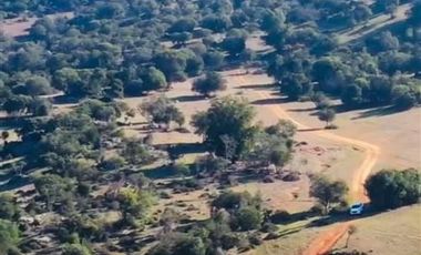 Parcela en Venta en Provincia de Colchagua, Comuna de Santa Cruz, Región Bernardo O'Higgins