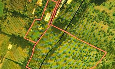 Parcela en Venta en EL RINCON, LA PUNTA, SAN FRANCISCO DE MOSTAZAL, REGION BERNARDO O´HIGGINS