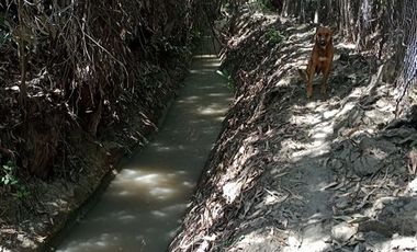 Parcela en Venta en EL RINCON, LA PUNTA, SAN FRANCISCO DE MOSTAZAL, REGION BERNARDO O´HIGGINS