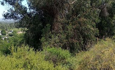 Parcela en Venta en EL RINCON, LA PUNTA, SAN FRANCISCO DE MOSTAZAL, REGION BERNARDO O´HIGGINS