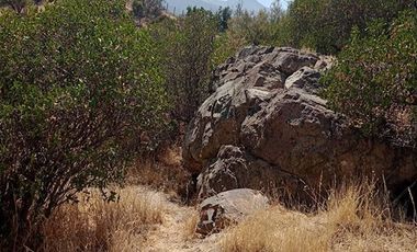 Parcela en Venta en EL RINCON, LA PUNTA, SAN FRANCISCO DE MOSTAZAL, REGION BERNARDO O´HIGGINS