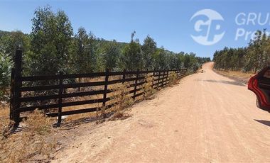 Parcela en Venta en 21 DE MAYO, LA ESTRELLA, BERNARDO O´HIGGINS