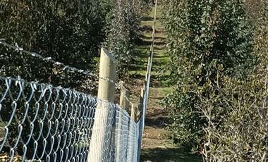 Parcela en Venta en 21 DE MAYO, LA ESTRELLA, BERNARDO O´HIGGINS