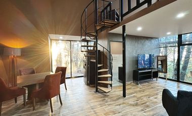 Bonito conjunto de 4 cabañas y una cabaña chalet de 2 plantas en venta en Mazamitla, Jalisco