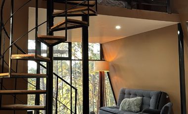 Bonito conjunto de 4 cabañas y una cabaña chalet de 2 plantas en venta en Mazamitla, Jalisco