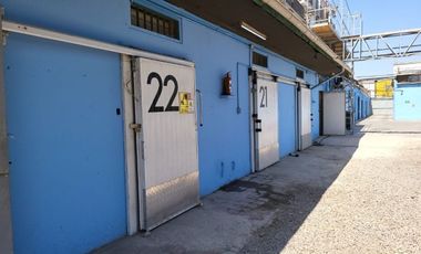 FRIGORIFICO ARRIENDO CAMARAS DE FRIO CONGELADO - REFRIGERACION.