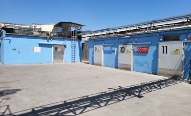 FRIGORIFICO ARRIENDO CAMARAS DE FRIO CONGELADO - REFRIGERACION.