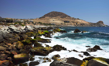 Sitio en Venta en Cercano a Tongoy