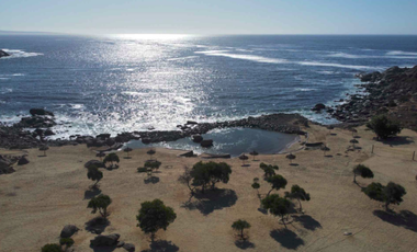 Sitio en Venta en Cercano a Tongoy