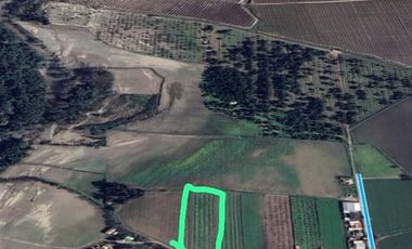 Terreno Construccion  en Venta en El Naranjal, Quinta de Tilcoco