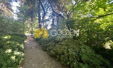 Departamento en Arriendo en San Damian