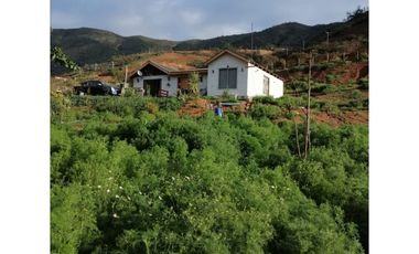 VENTA DE ESPECTACULAR PARCELA EN EL SECTOR SAN PEDRO