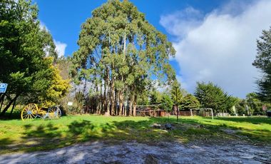 Gran terreno, restaurante y casa en Ilque