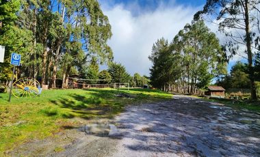 Gran terreno, restaurante y casa en Ilque