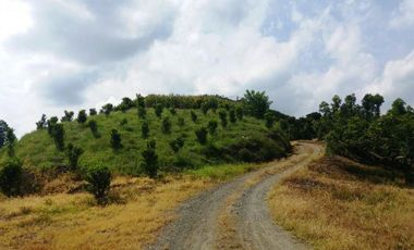 VENTA de FINCAS en PEREIRA
