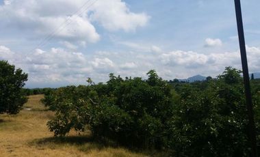 VENTA de FINCAS en PEREIRA