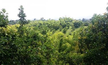 VENTA de FINCAS en PEREIRA