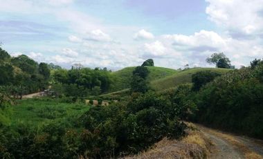 VENTA de FINCAS en PEREIRA