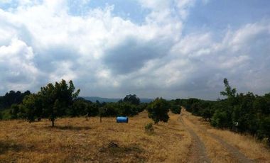 VENTA de FINCAS en PEREIRA
