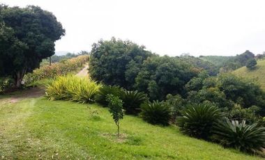 VENTA de FINCAS en PEREIRA