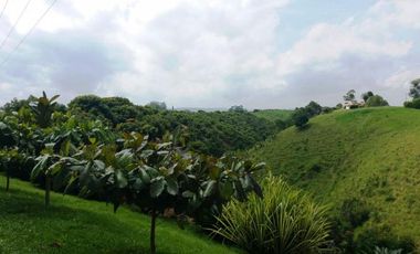 VENTA de FINCAS en PEREIRA