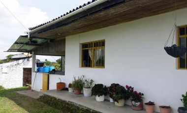 VENTA de FINCAS en PEREIRA