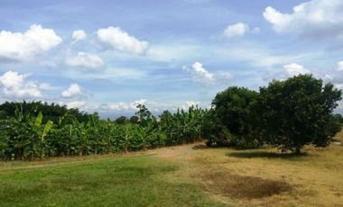VENTA de FINCAS en PEREIRA