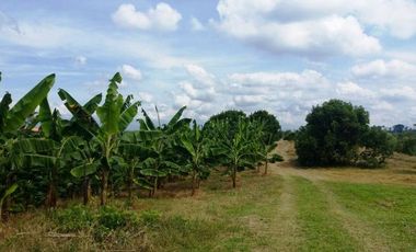 VENTA de FINCAS en PEREIRA