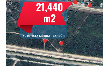 Venta Terreno, $1,000 m2, Carretera Cancún-Mérida. Ejido V. Bonfil