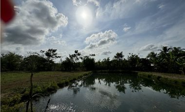 VENTA DE CASA FINCA EN BOCA DE LA CEIBA DE MONTERIA