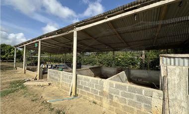 VENTA DE CASA FINCA EN BOCA DE LA CEIBA DE MONTERIA