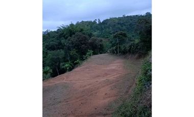 Hermoso lote en venta ubicado a 15 minutos de Peñol