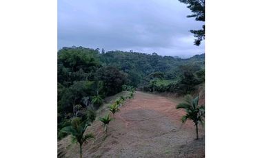 Hermoso lote en venta ubicado a 15 minutos de Peñol