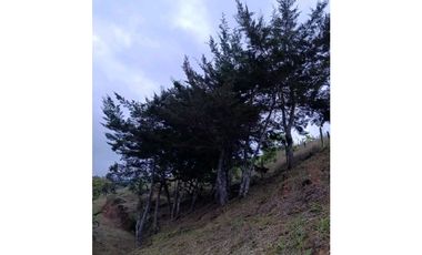 Hermoso lote en venta ubicado a 15 minutos de Peñol