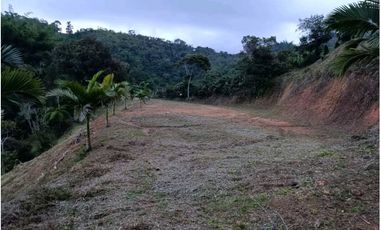 Hermoso lote en venta ubicado a 15 minutos de Peñol