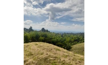 finca urbanizable con hermosa vista en Alcala Valle