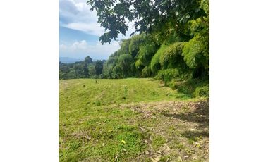 finca urbanizable con hermosa vista en Alcala Valle