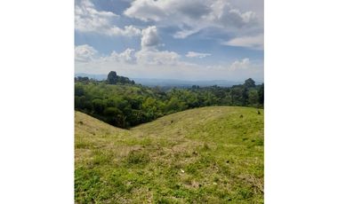 finca urbanizable con hermosa vista en Alcala Valle