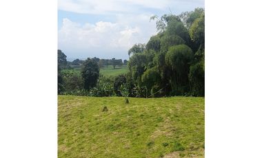 finca urbanizable con hermosa vista en Alcala Valle