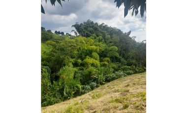finca urbanizable con hermosa vista en Alcala Valle