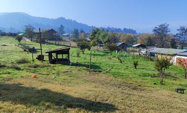 CAMPING ANGOSTURA, LAGO RAPEL