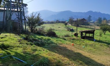 CAMPING ANGOSTURA, LAGO RAPEL