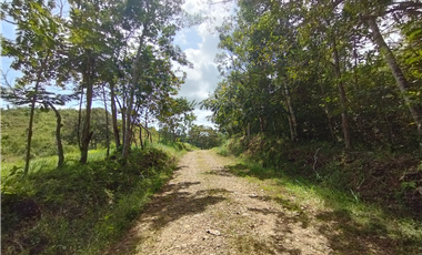 Finca en venta de 20.5  hectareas en El Limite - Capira (DR)