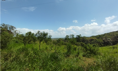 Finca en venta de 20.5  hectareas en El Limite - Capira (DR)