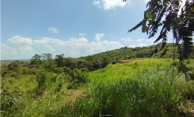 Finca en venta de 20.5  hectareas en El Limite - Capira (DR)
