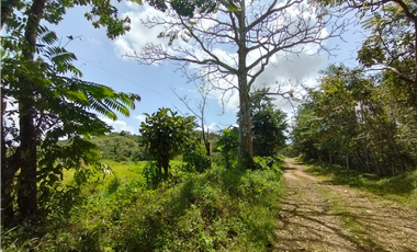 Finca en venta de 20.5  hectareas en El Limite - Capira (DR)