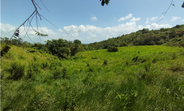 Finca en venta de 20.5  hectareas en El Limite - Capira (DR)