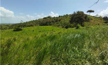 Finca en venta de 20.5  hectareas en El Limite - Capira (DR)