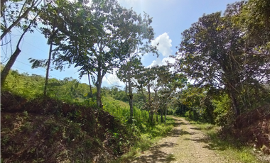 Finca en venta de 20.5  hectareas en El Limite - Capira (DR)
